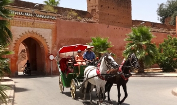 Marrakech Gardens Horse Drawn Carriage Marrakech Gardens Horse Drawn Carriage