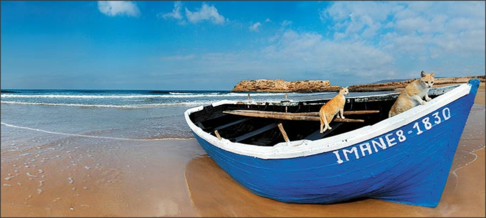 Morocco Travel Tours,private tours and excursions Morocco Travel Tours,private tours and excursions