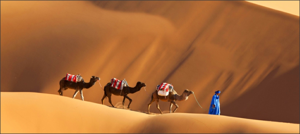 Morocco Travel Tours,private tours and excursions Morocco Travel Tours,private tours and excursions