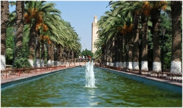 Morocco Travel Tours,private tours and excursions Morocco Travel Tours,private tours and excursions